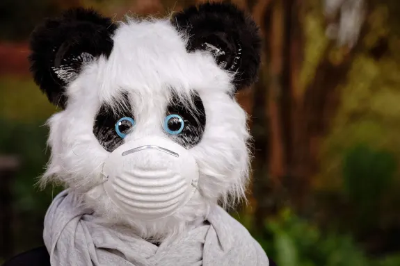 9 Casino Stuðningur